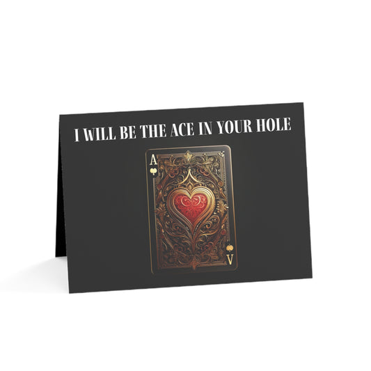 Romantic Greeting Card Ace in Your Hole Valentines Day Lovers Card Unique Fun Romantic Spicy Message Playful Sexy Anytime Gift